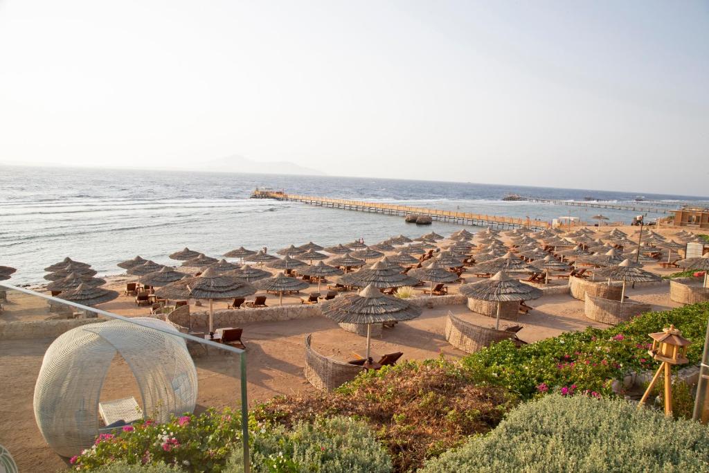 Hotel Cleopatra Luxury 5* 18