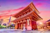 Japan Experience: Il Grande Viaggio tra Futuro e Tradizione 2