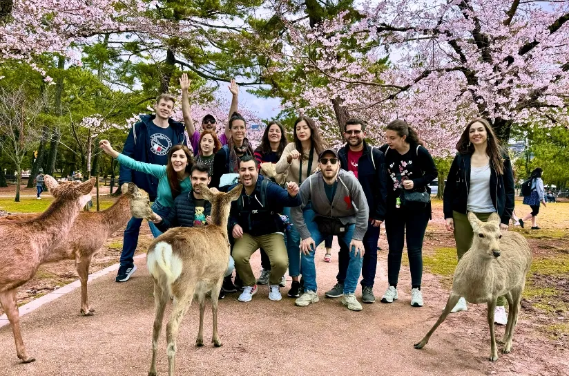 Japan Experience: Il Grande Viaggio tra Futuro e Tradizione 10