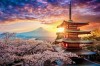 Japan Experience: Il Grande Viaggio tra Futuro e Tradizione