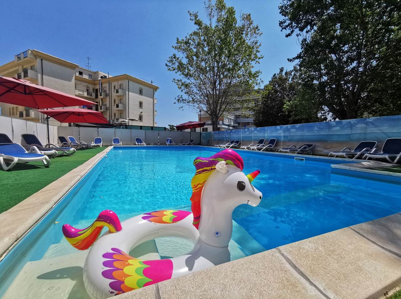 img_20240709_125011-01