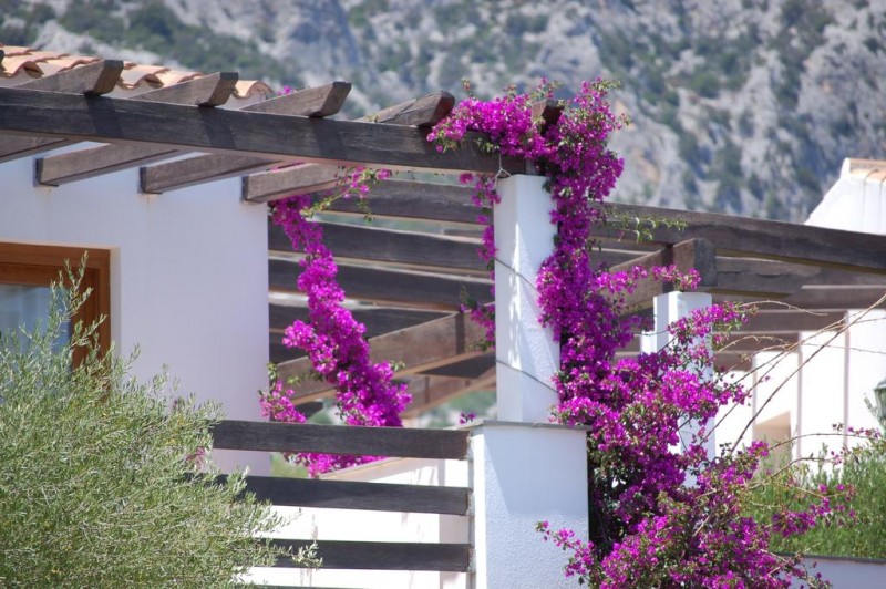 Club Esse Palmasera Village Resort 14