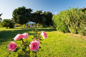 Marina Resort Club Hotel Marina Beach 15