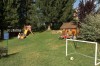 Hotel Garden 4