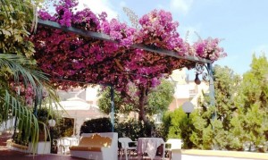 Hotel Royal Terme 12