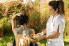 Hotel Terme Royal Palm 58