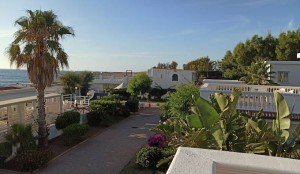 Villaggio Agrumeto 5