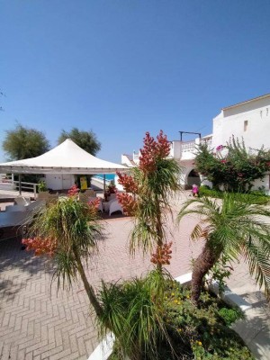 Villaggio Agrumeto 14